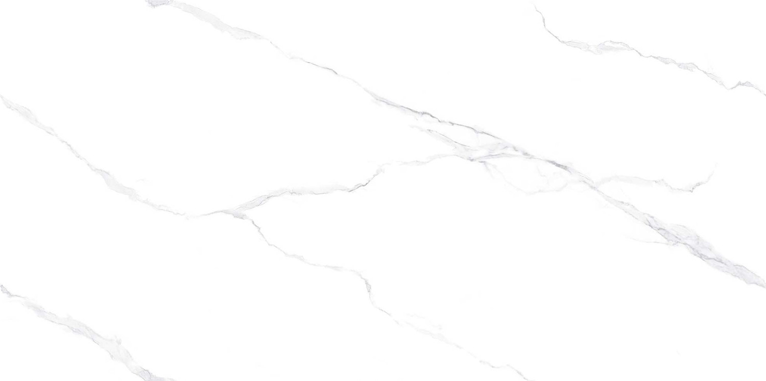 新瑞景陶瓷-RL84113RL84113