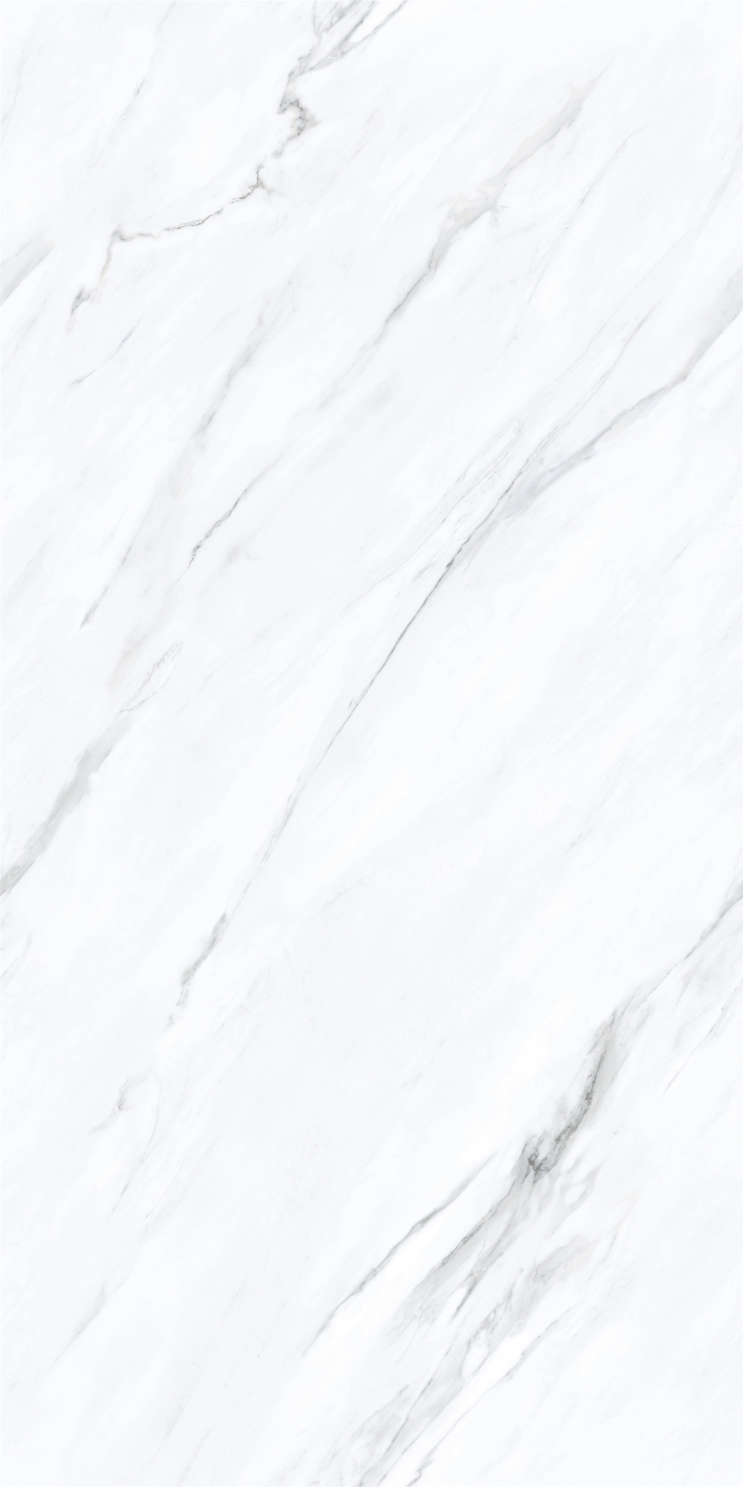 新瑞景陶瓷-RCF12102RCF12102