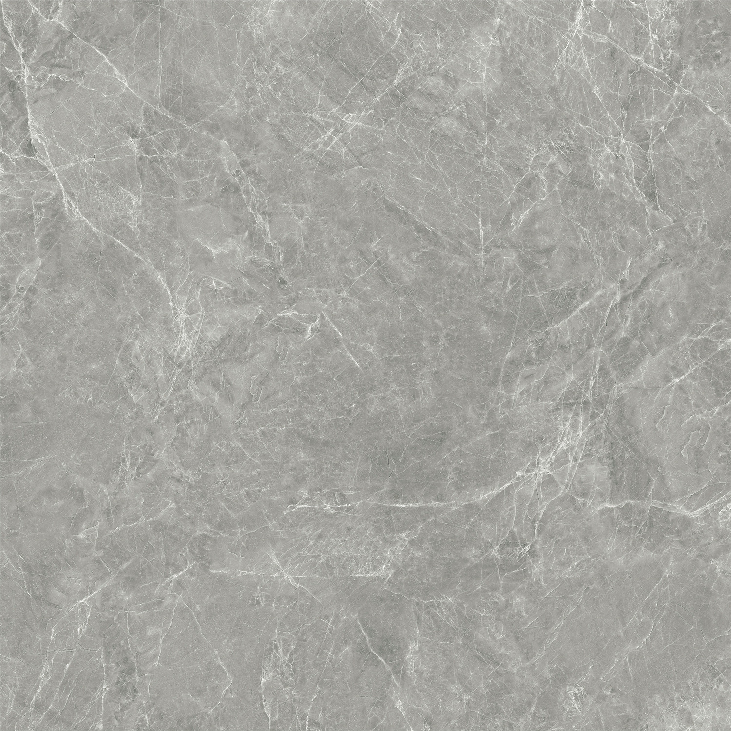 新瑞景陶瓷-RCF88619RCF88619