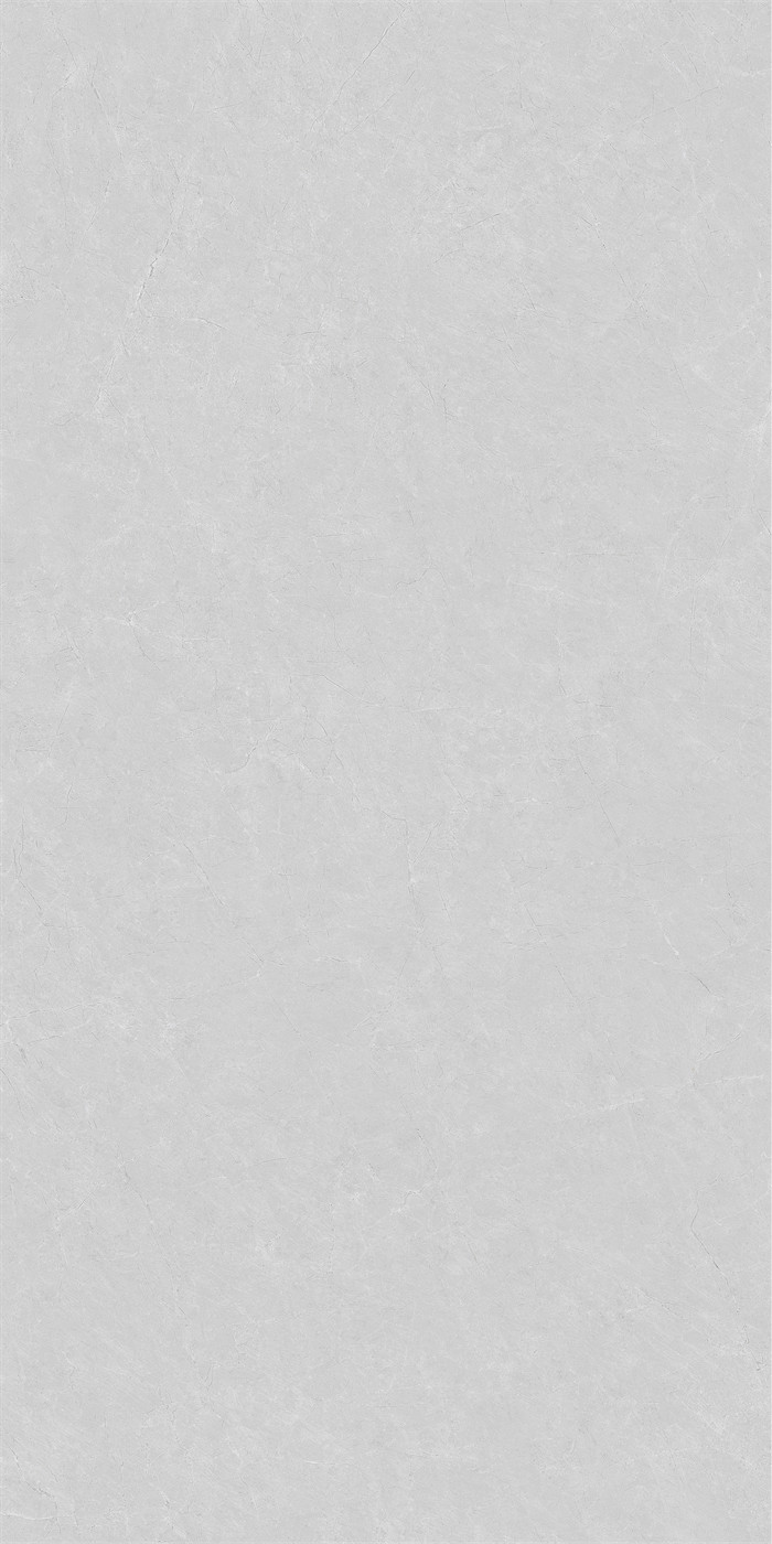 新瑞景陶瓷-RD18118LRD18118L