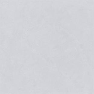 新瑞景陶瓷-RL88216RL88216