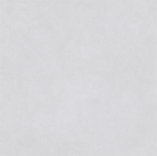 新瑞景陶瓷-RL88215RL88215