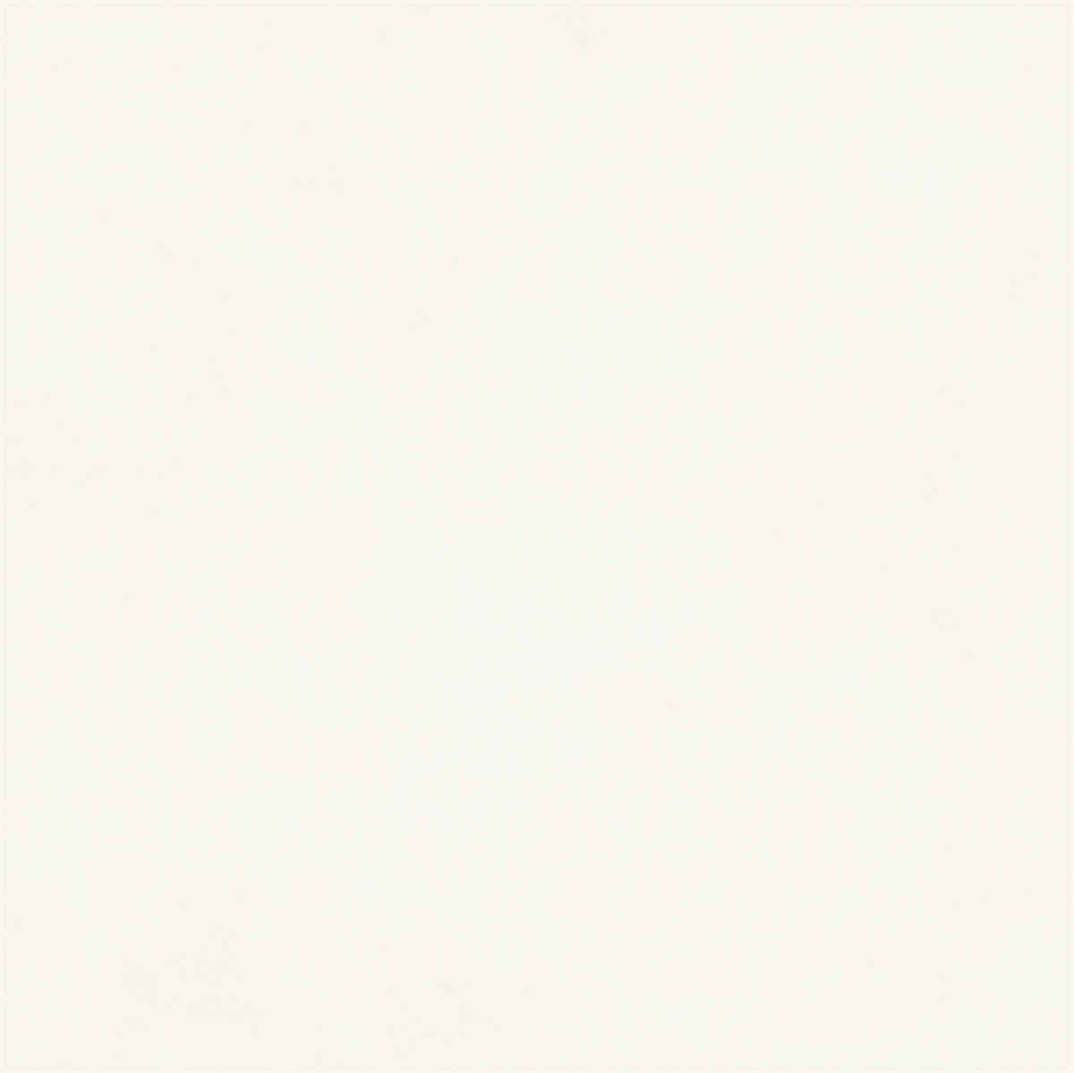 新瑞景陶瓷-RL88218RL88218