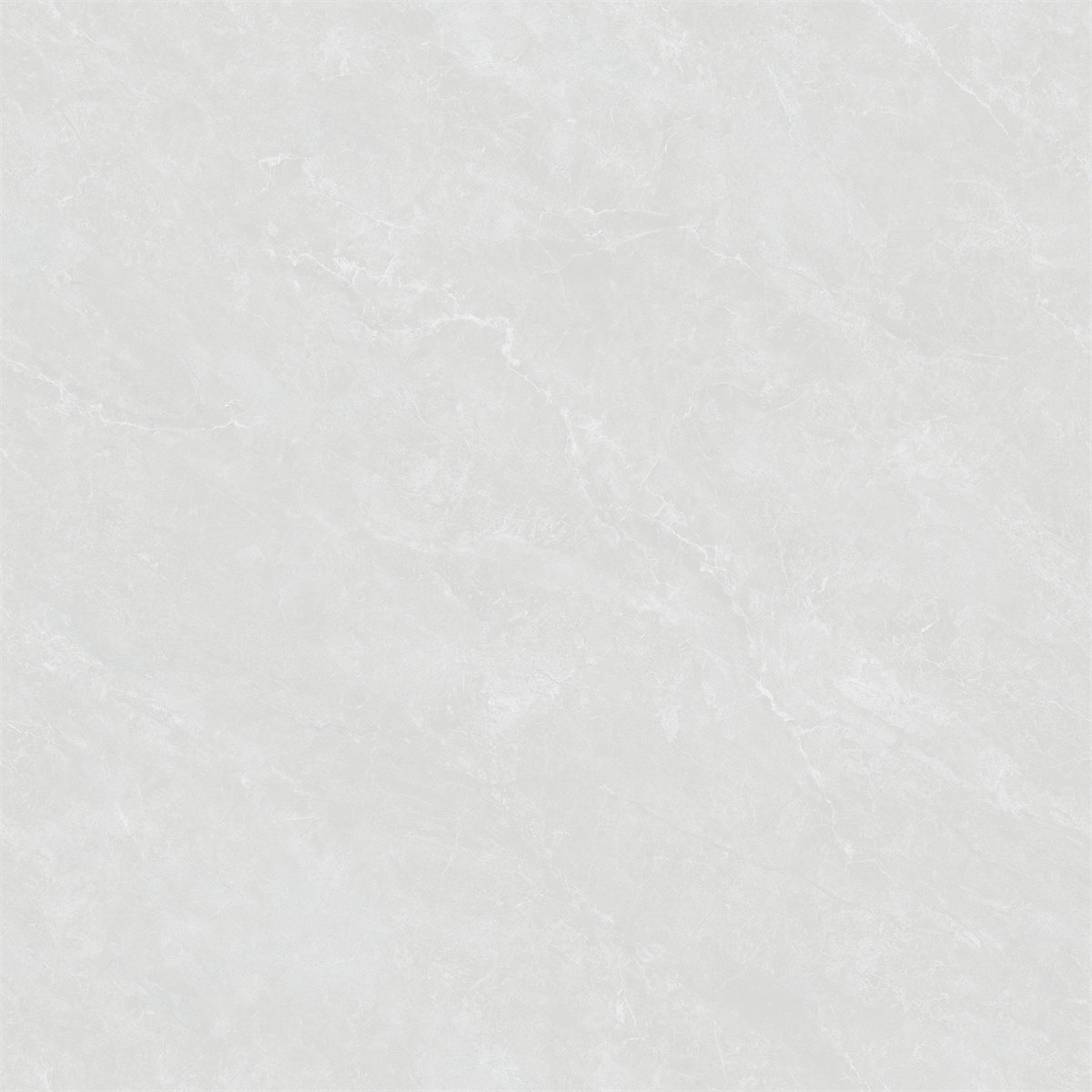 新瑞景陶瓷-RL88221RL88221