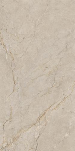 新瑞景陶瓷-RF15609RF15609