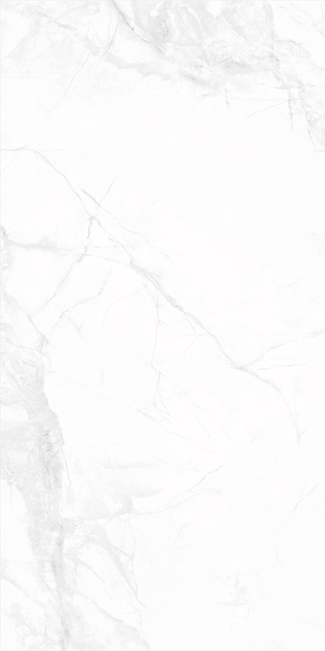 新瑞景陶瓷-RT12766