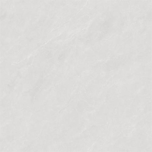 新瑞景陶瓷-RG88301LRG88301L