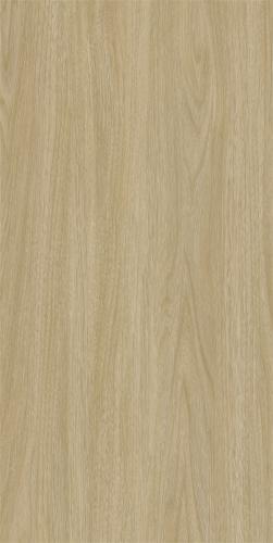 新瑞景陶瓷-RT12906RT12906