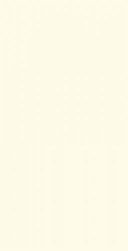 新瑞景陶瓷-RL84160RL84160