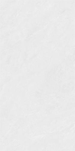 新瑞景陶瓷-RSP12503RSP12503