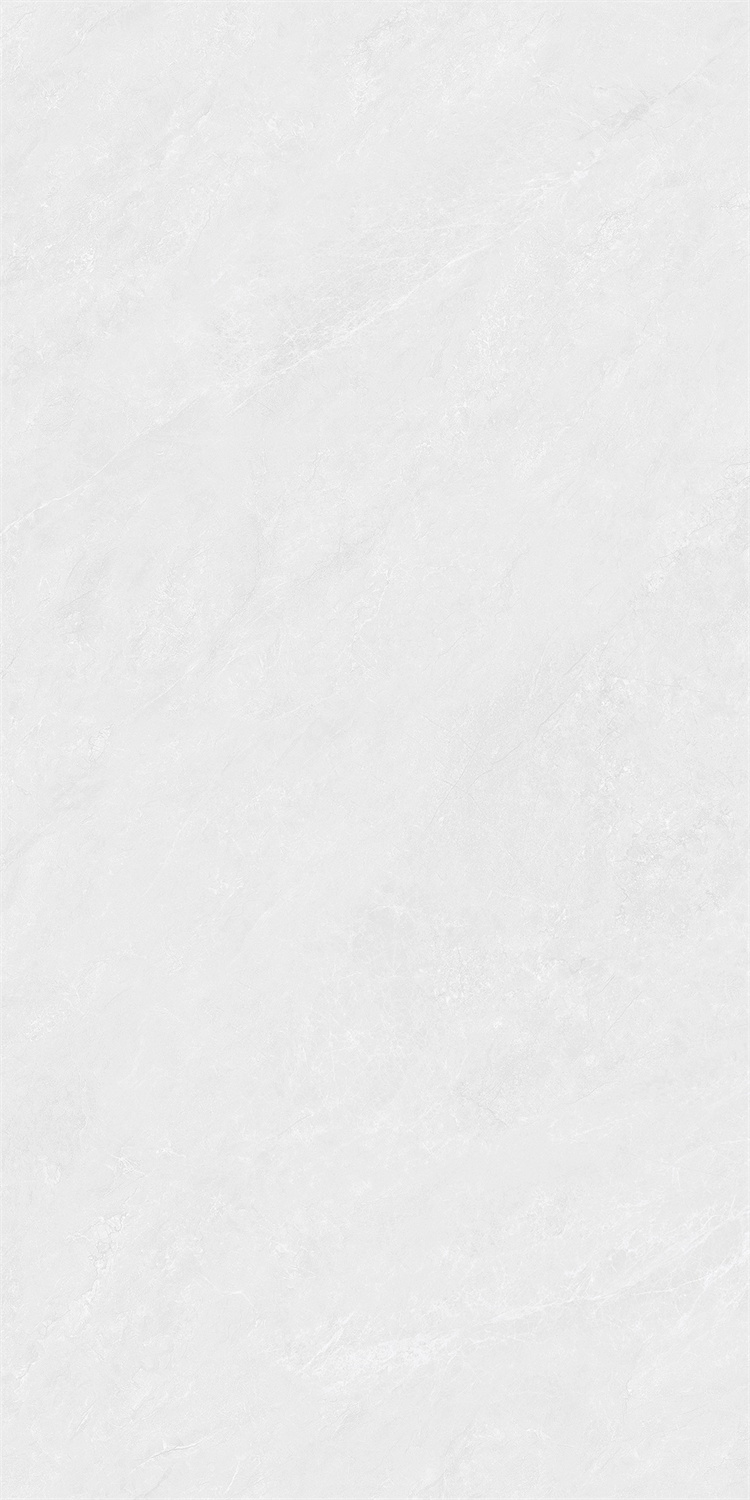 新瑞景陶瓷-RL84123RL84123