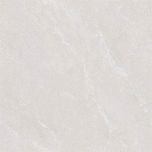 新瑞景陶瓷-RP88516RP88516