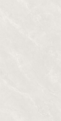 新瑞景陶瓷-RCF12186RCF12186