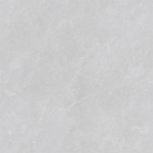 新瑞景陶瓷-RG88309RG88309