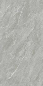 RCF12527B-阿尔伯特灰_03调